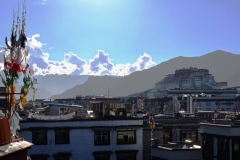 OPT_IMG_4765