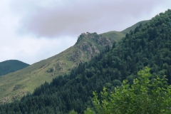 OPT_IMG_3273