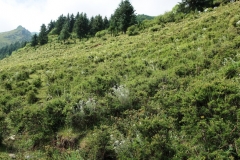 OPT_IMG_3380
