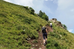 OPT_IMG_3409