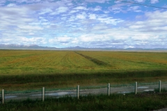 OPT_IMG_4557