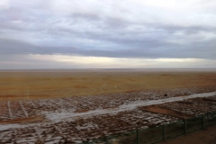 OPT_IMG_4575