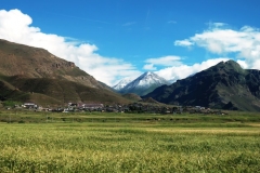 OPT_IMG_4843
