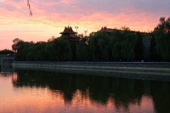 OPT_IMG_3064