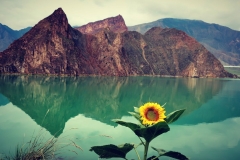 Yellow River 01