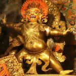 OPT_IMG_3815
