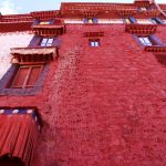 OPT_IMG_3828