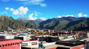 OPT_IMG_4771